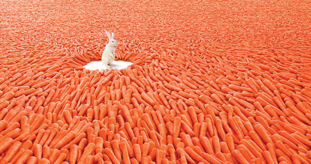 rabbit-and-carrot